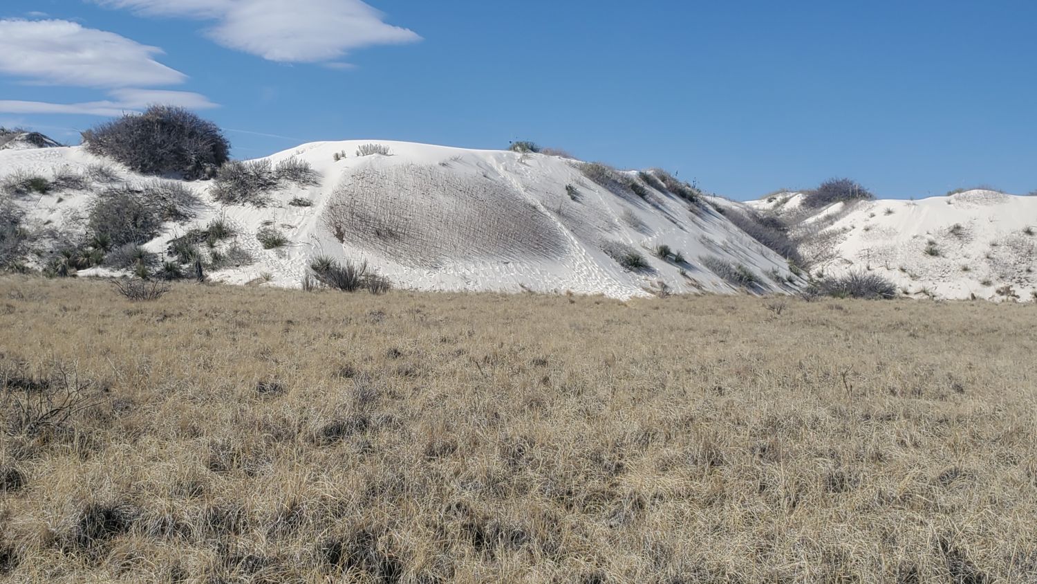 White Sands Playa and Dune Life Trails 